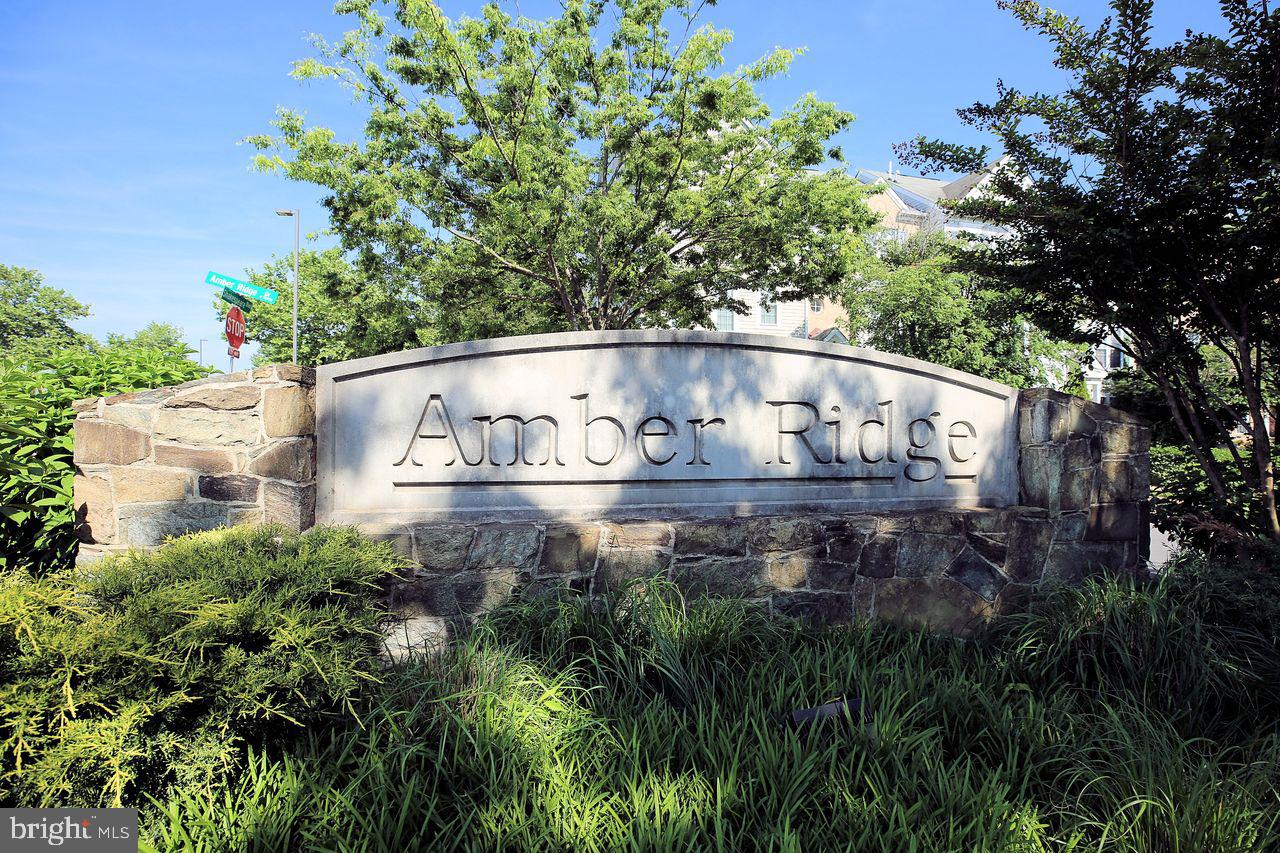 AMBER RIDGE AT MILESTONE - Residential