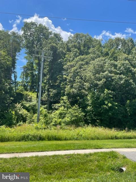 WILLOW WOODS - Residential