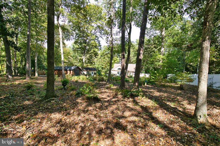 CANTERBURY - Residential