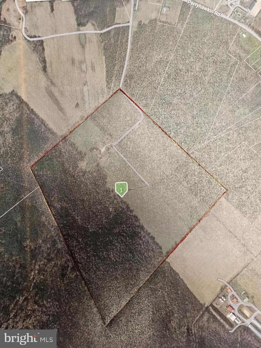 128.53 ACRE FARM. 55+ ACRES ARE CLEARED FARM LAND.  77 ACRES ARE TIMBER THAT WAS ONLY PARTIALLY TIMBERED 20 YEARS AGO. SOME OF THE TIMBER HAS NEVER BEEN TIMBERED. THE BUILDINGS AND HOUSE HAVE NO VALUE.