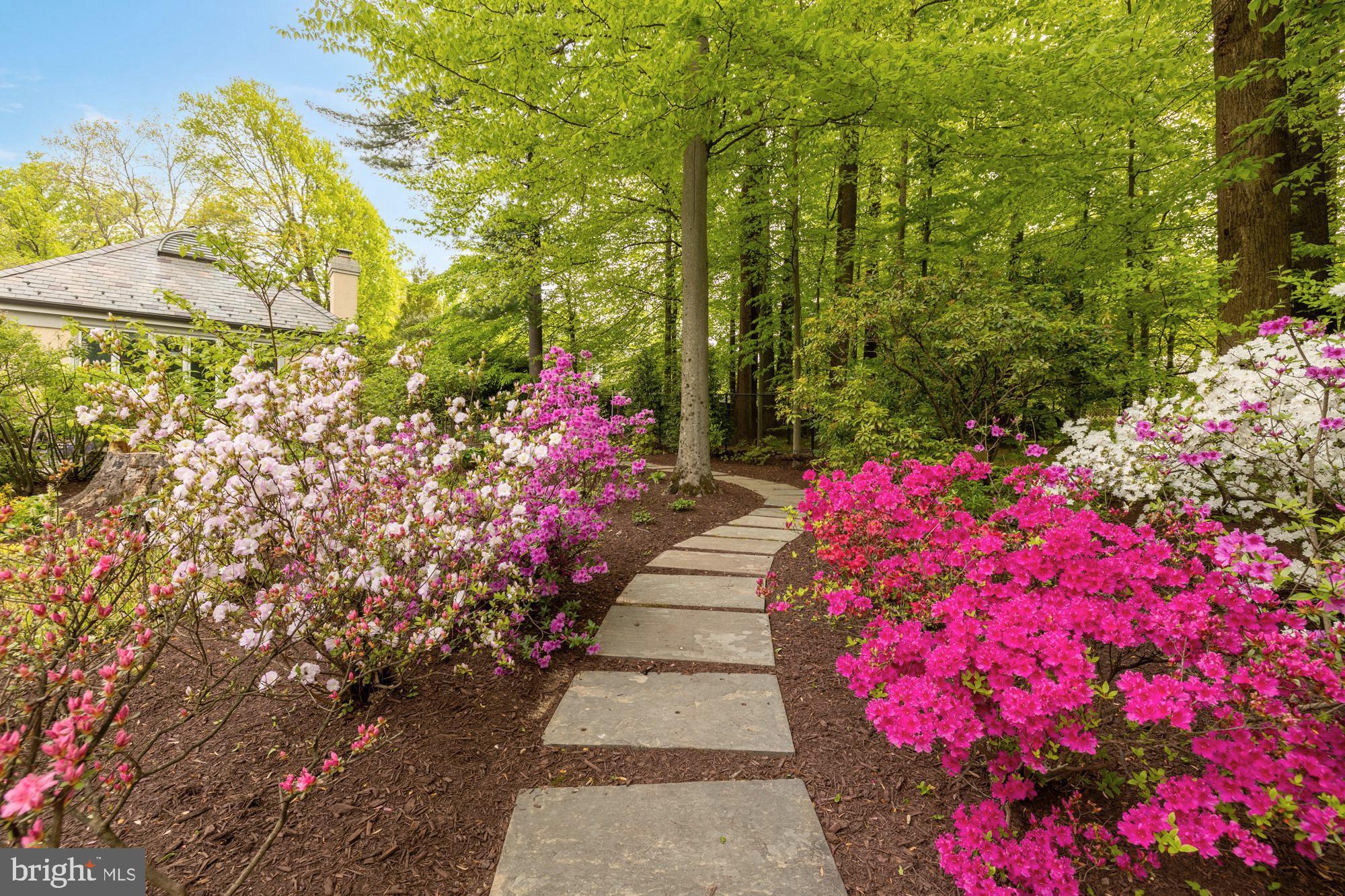 BURNING TREE ESTATES - Residential