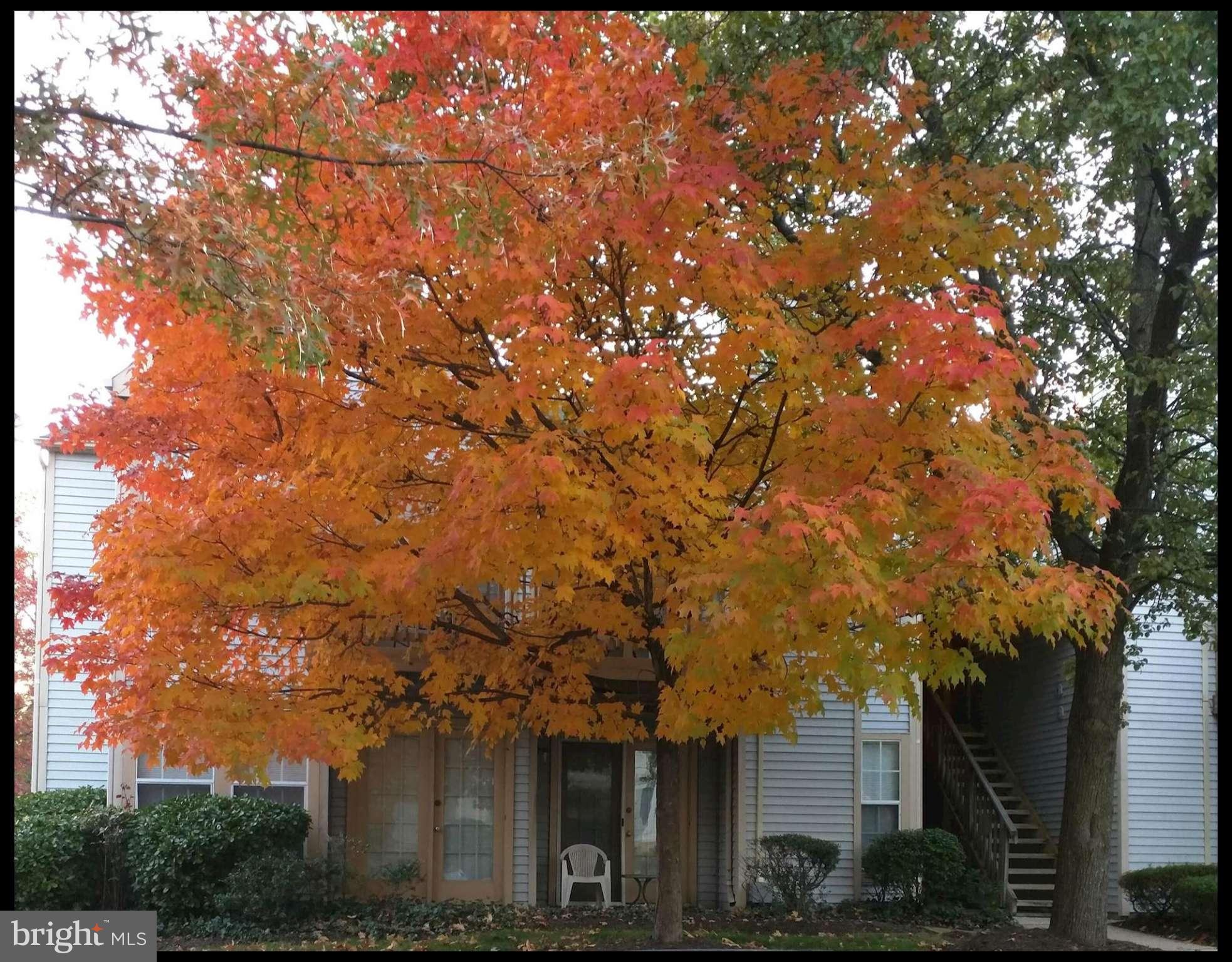 ROCKBURN COMMONS - Residential