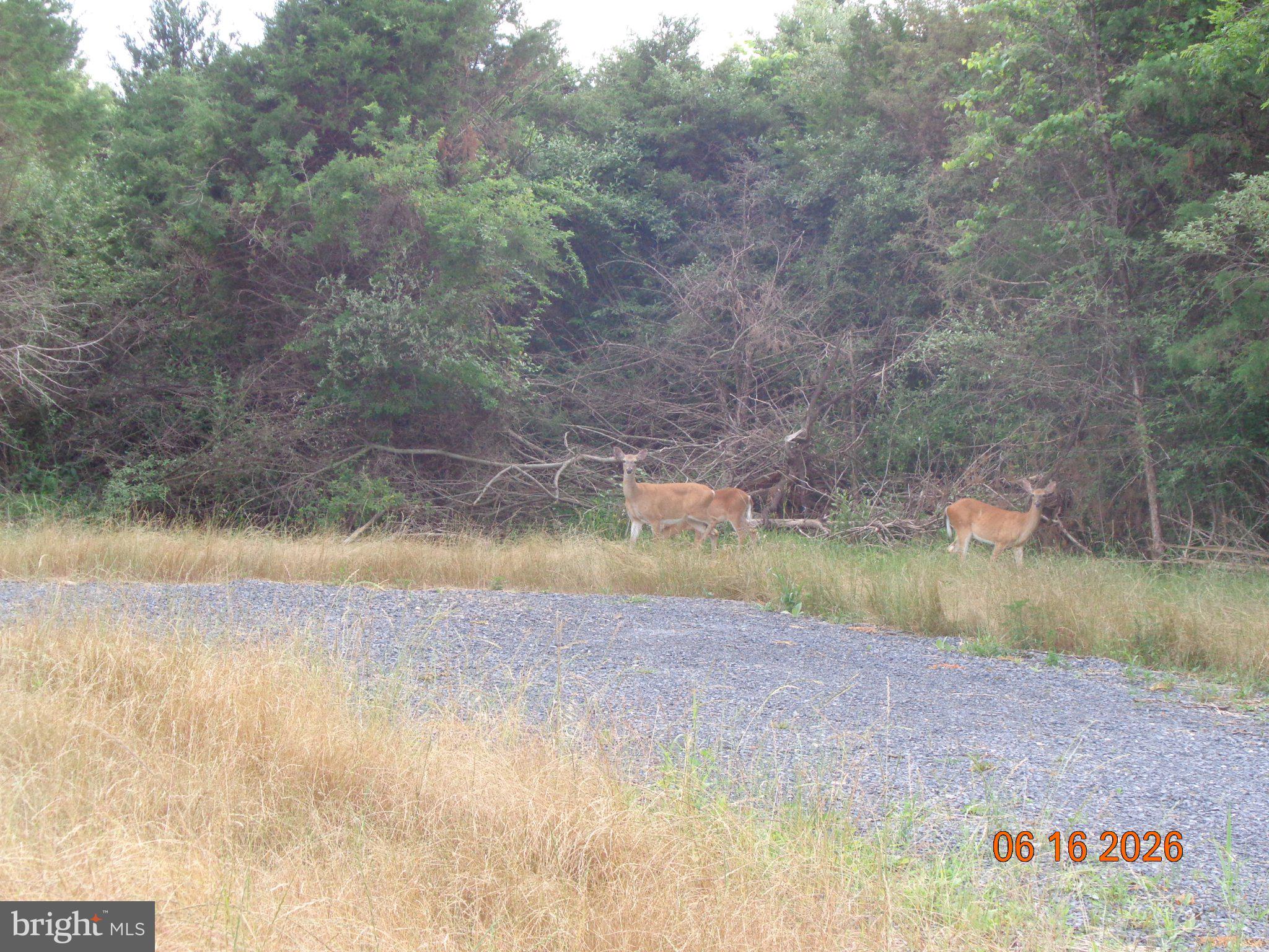 LOT 1 MARTIN PAYNE ROAD