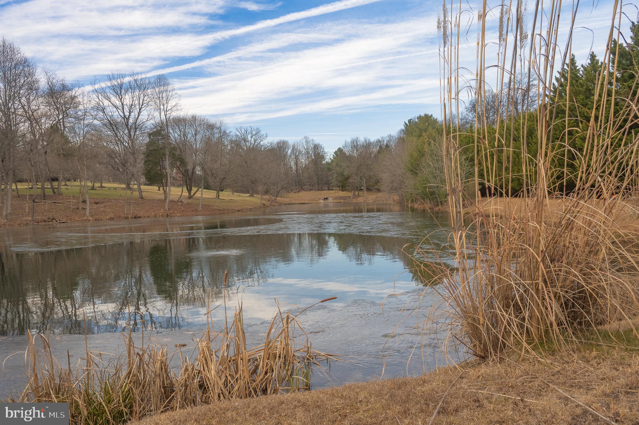 RIDGEWOOD - Residential