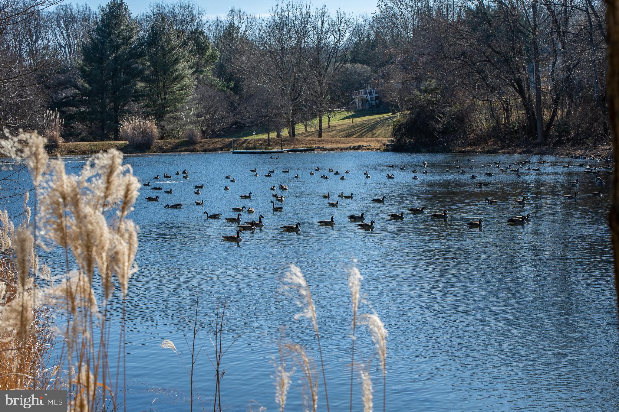 RIDGEWOOD - Residential