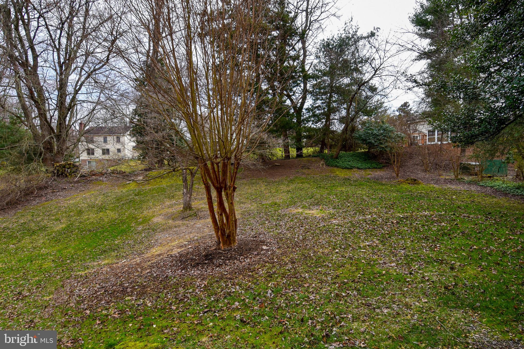 WOLF TRAP GREEN - Residential Lease