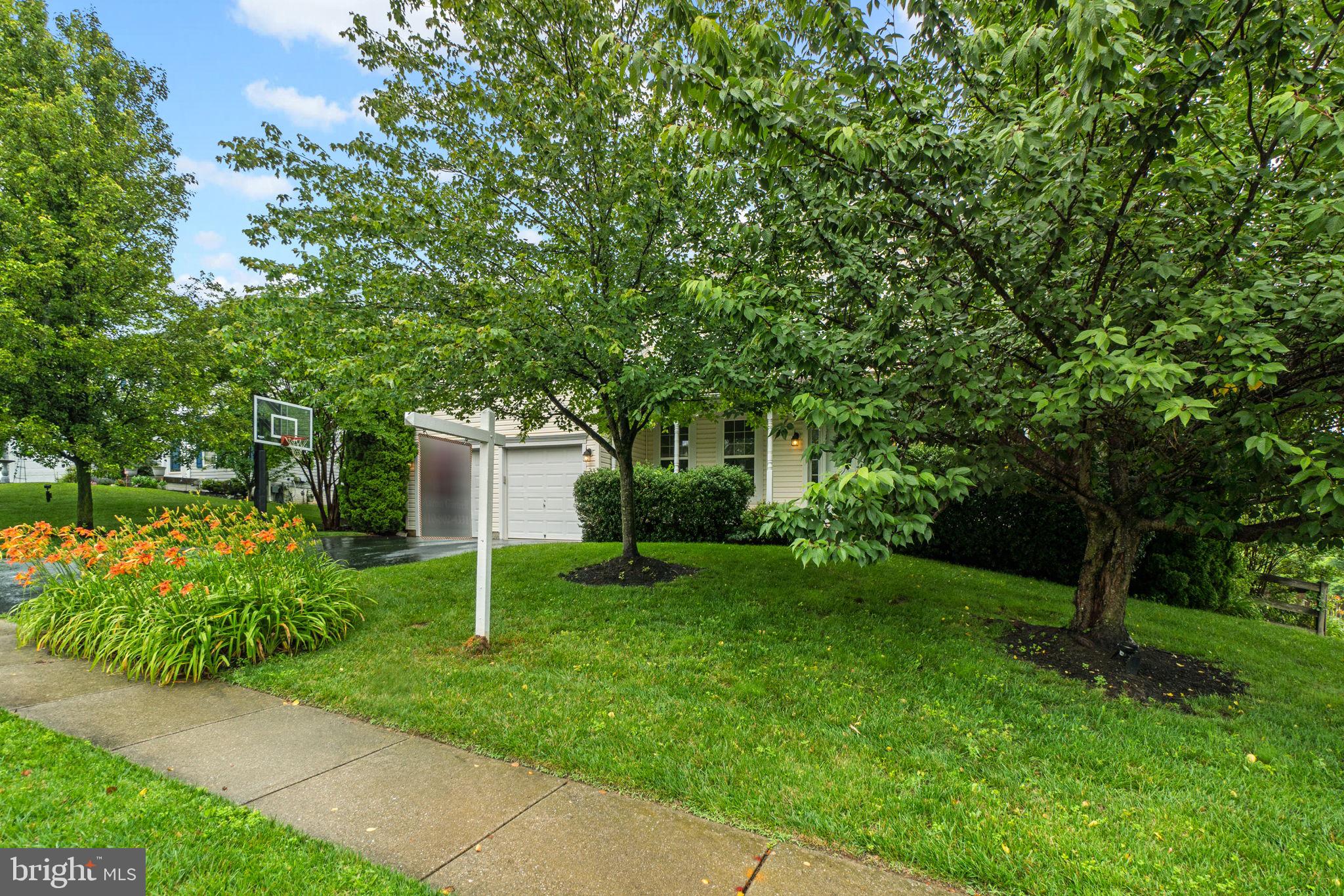 2974 CORONA COURT