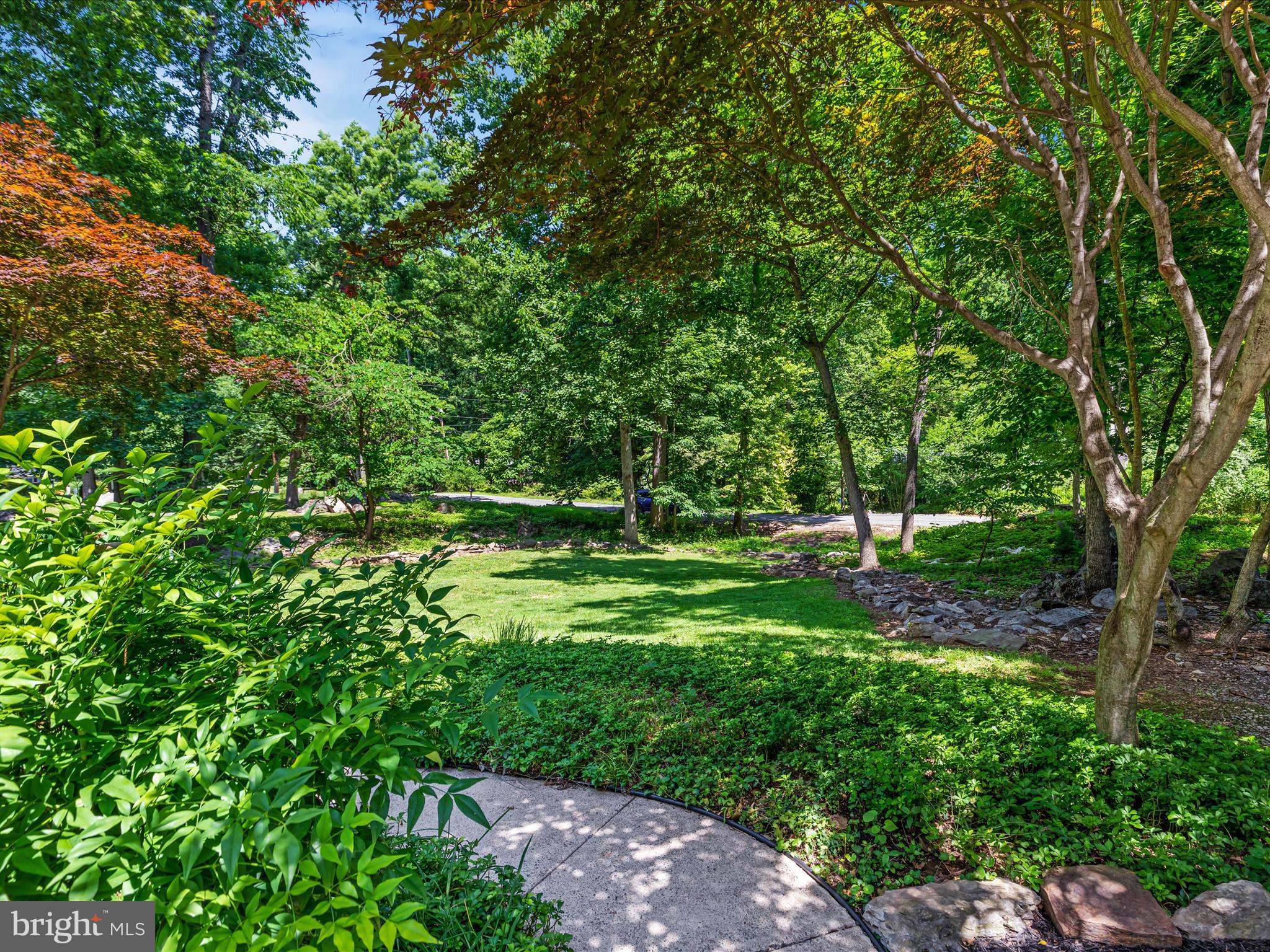 CHAPLINE'S CHOICE - Residential