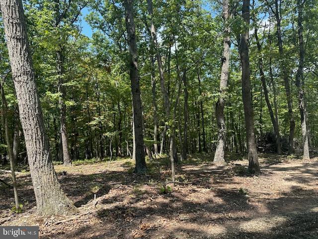 BLOOMERY - Residential