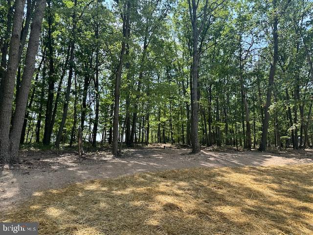 BLOOMERY - Residential