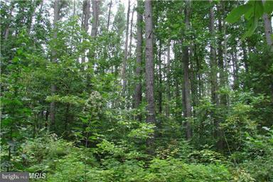 SHIPWRECK FARM - Land