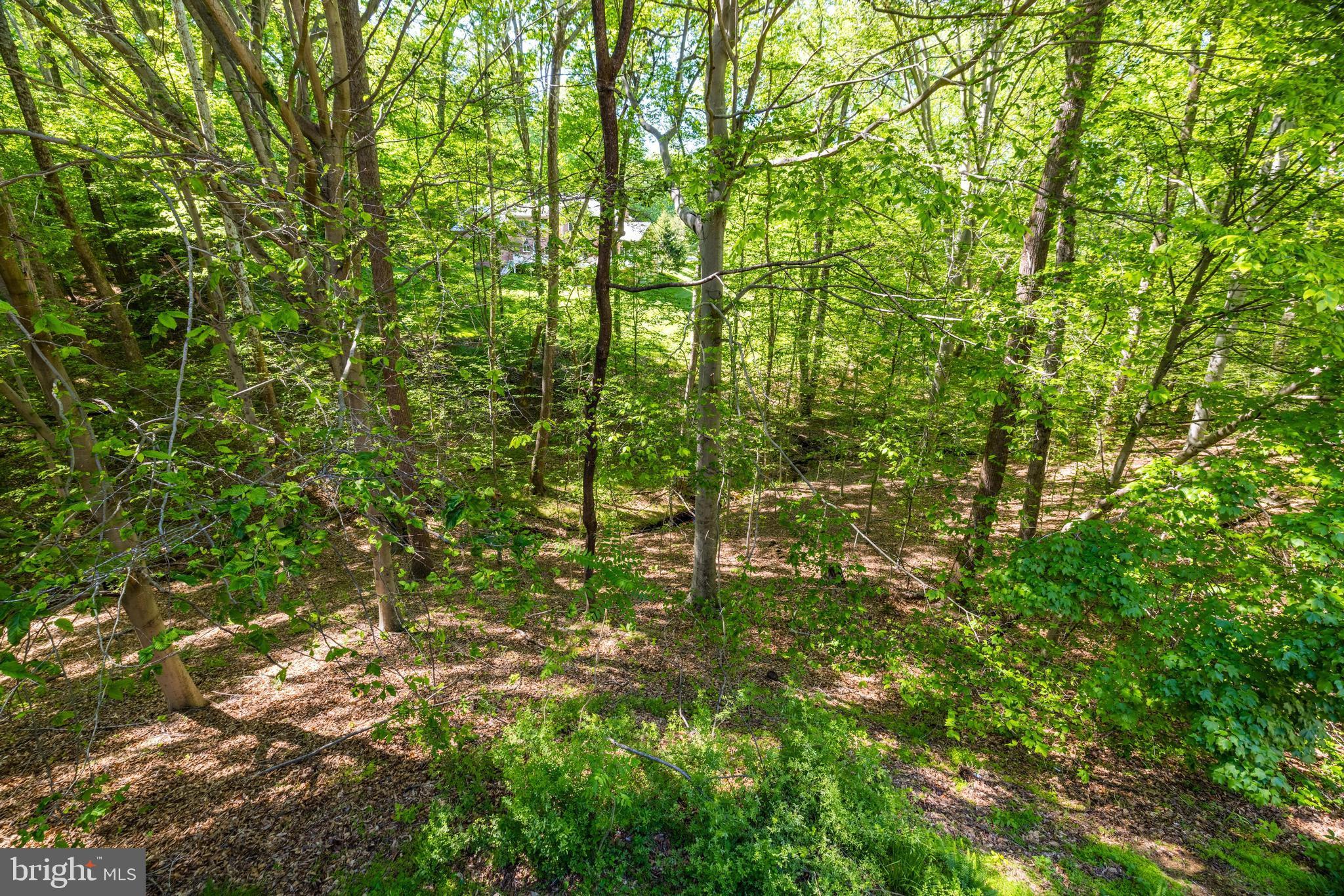 FALCON RIDGE - Residential