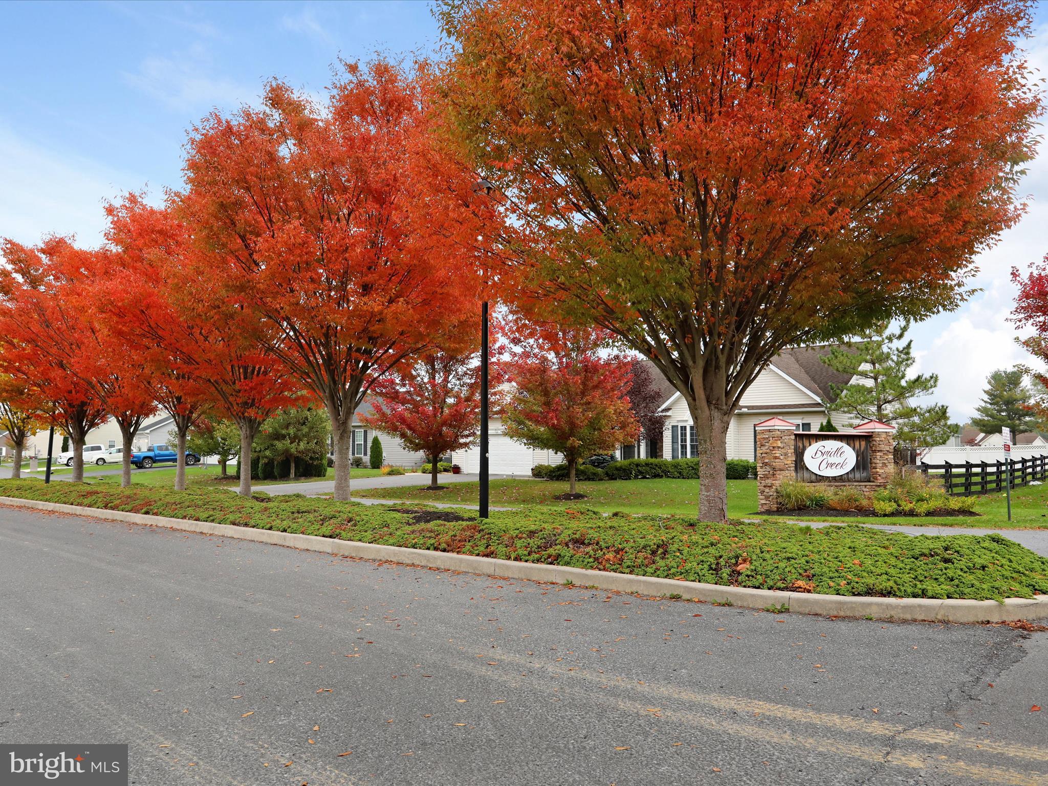 BRIDLE CREEK - Residential