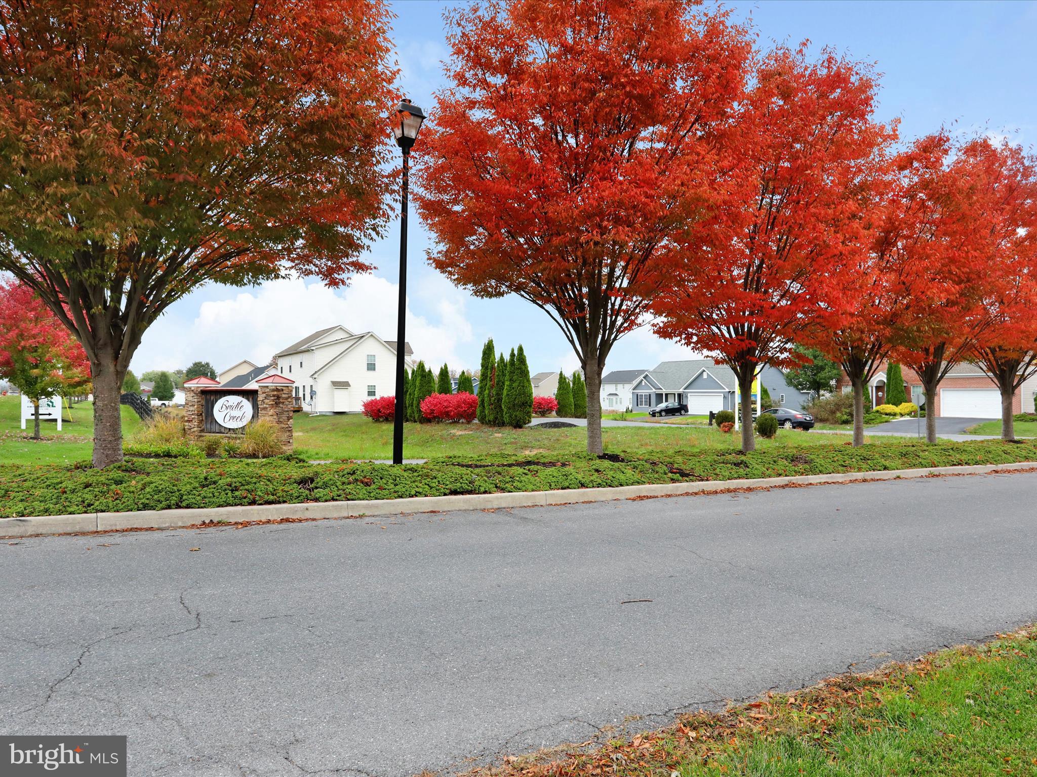 BRIDLE CREEK - Residential