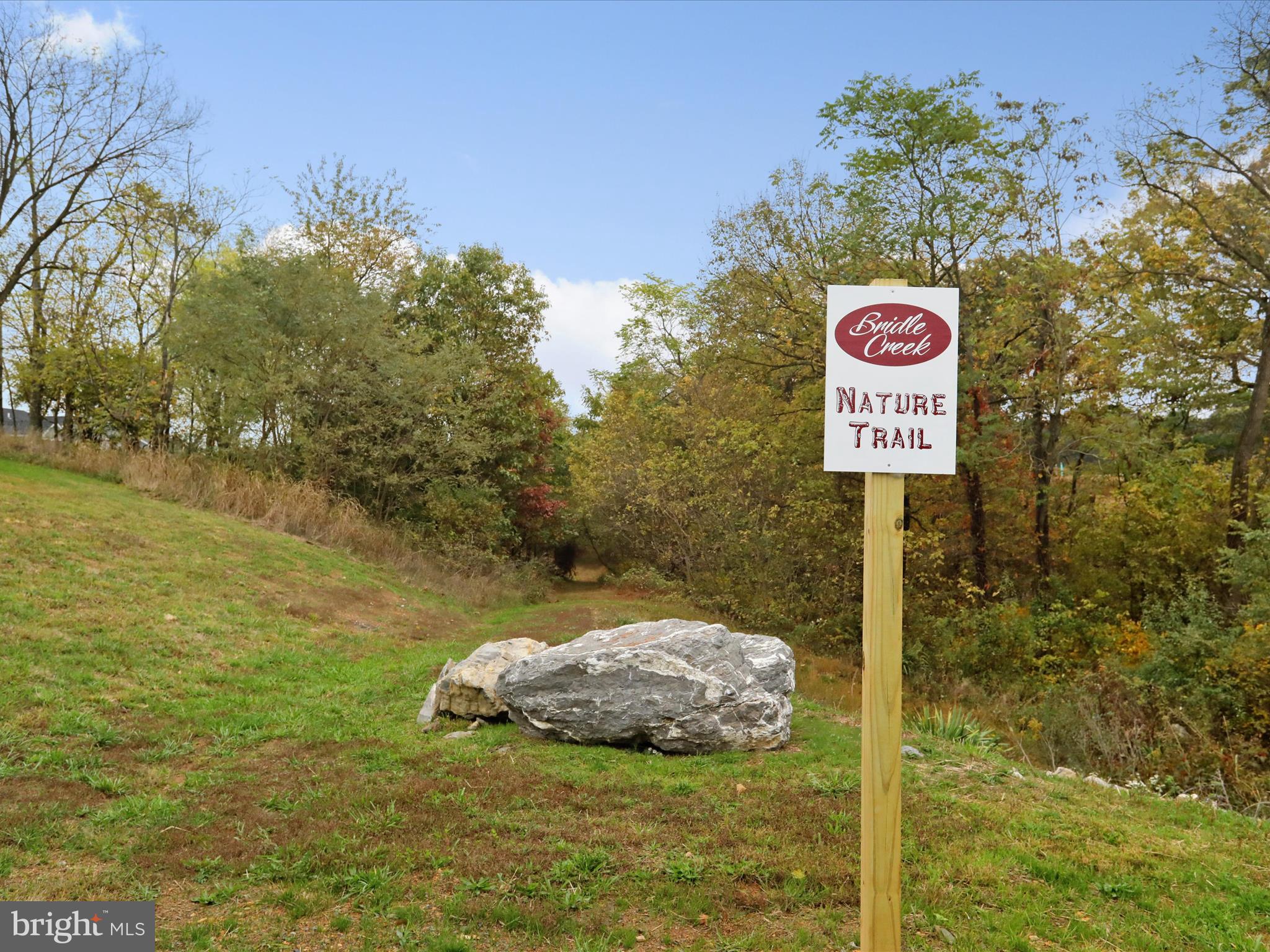 BRIDLE CREEK - Residential