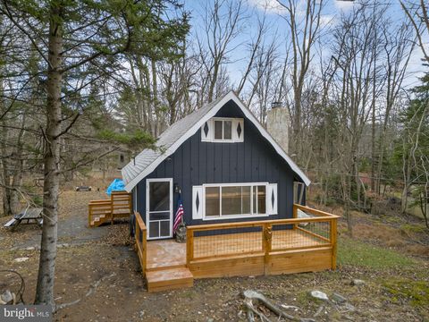 129 MAHONING DRIVE POCONO LAKE PA 18347