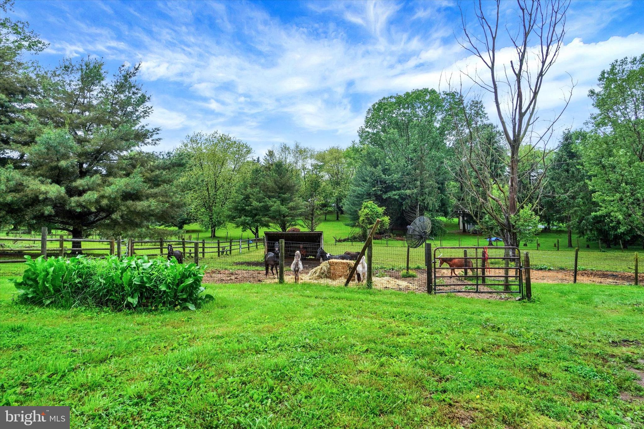 8292 HICKORY ROAD