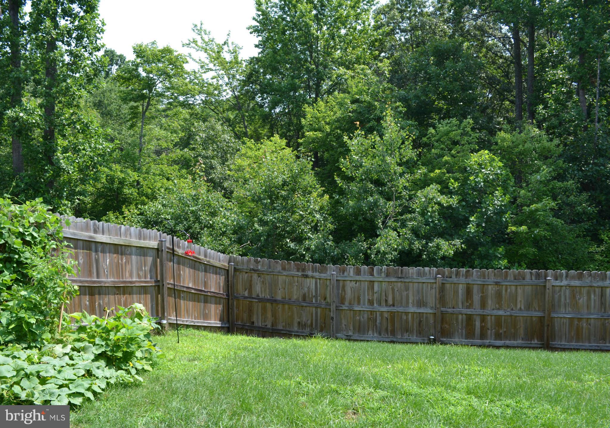 WIDEWATER VILLAGE - Residential