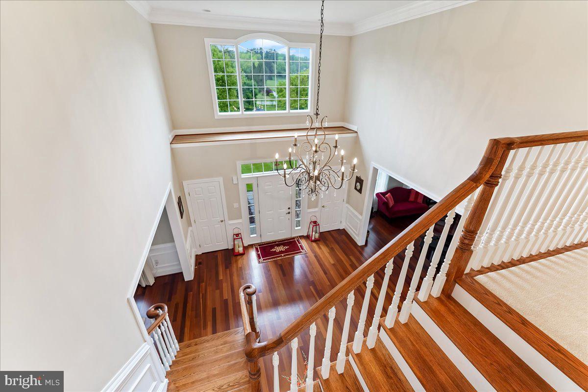 OVERLOOK - Residential