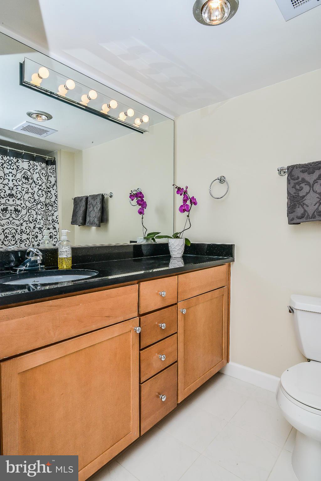 RENAISSANCE - Residential