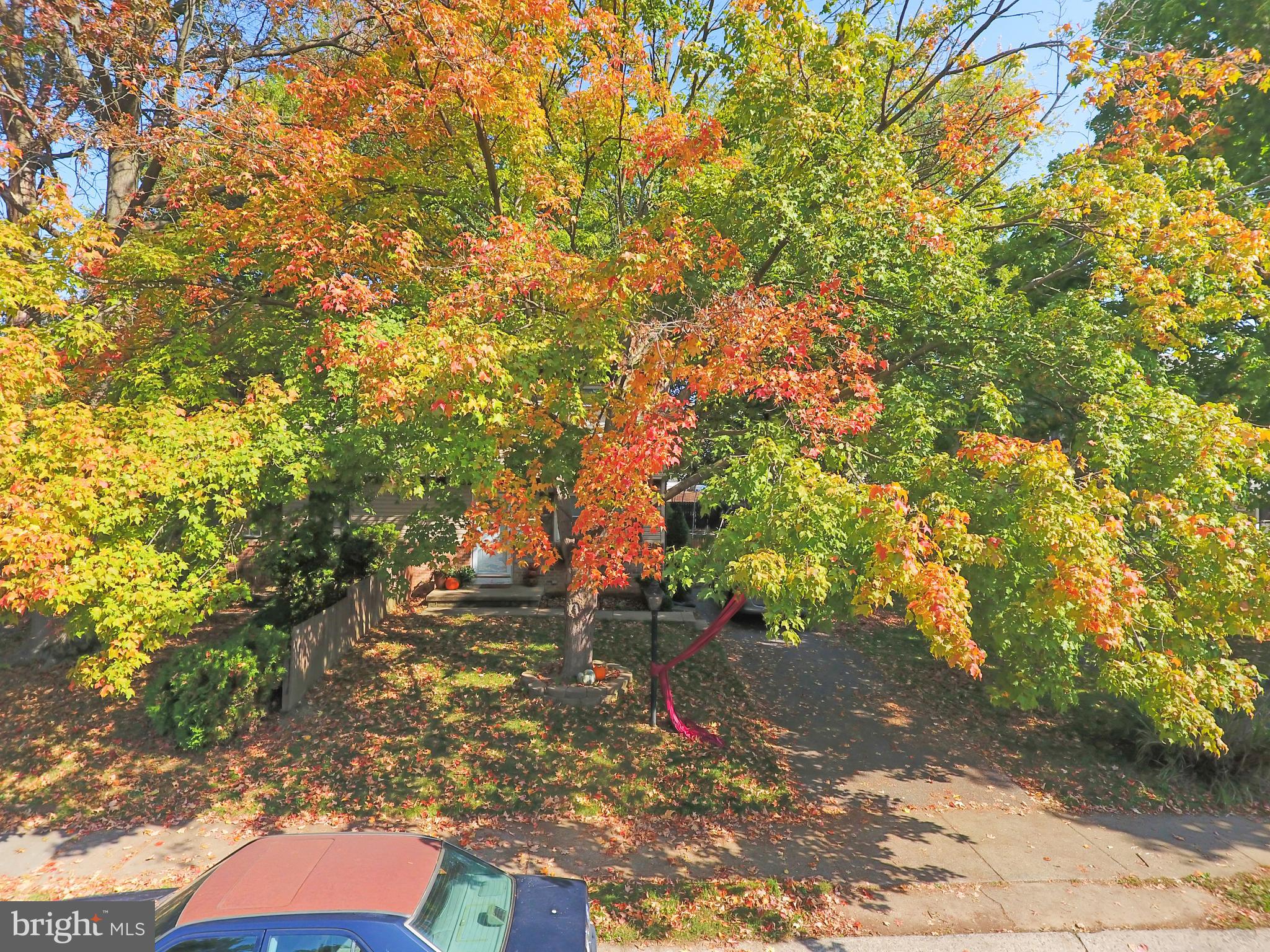 SUTTER VILLAGE - Residential