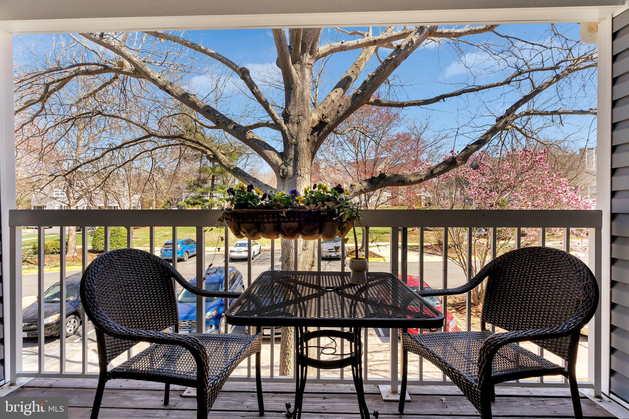 PONDS AT CENTREVILLE - Residential