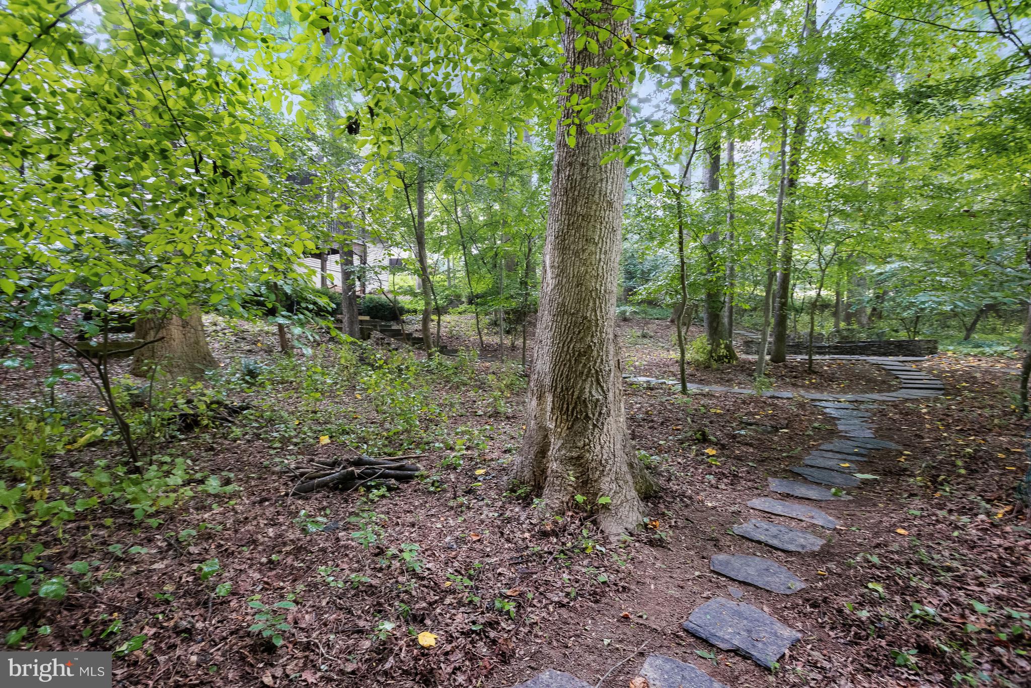 BETHANY WOODS - Residential