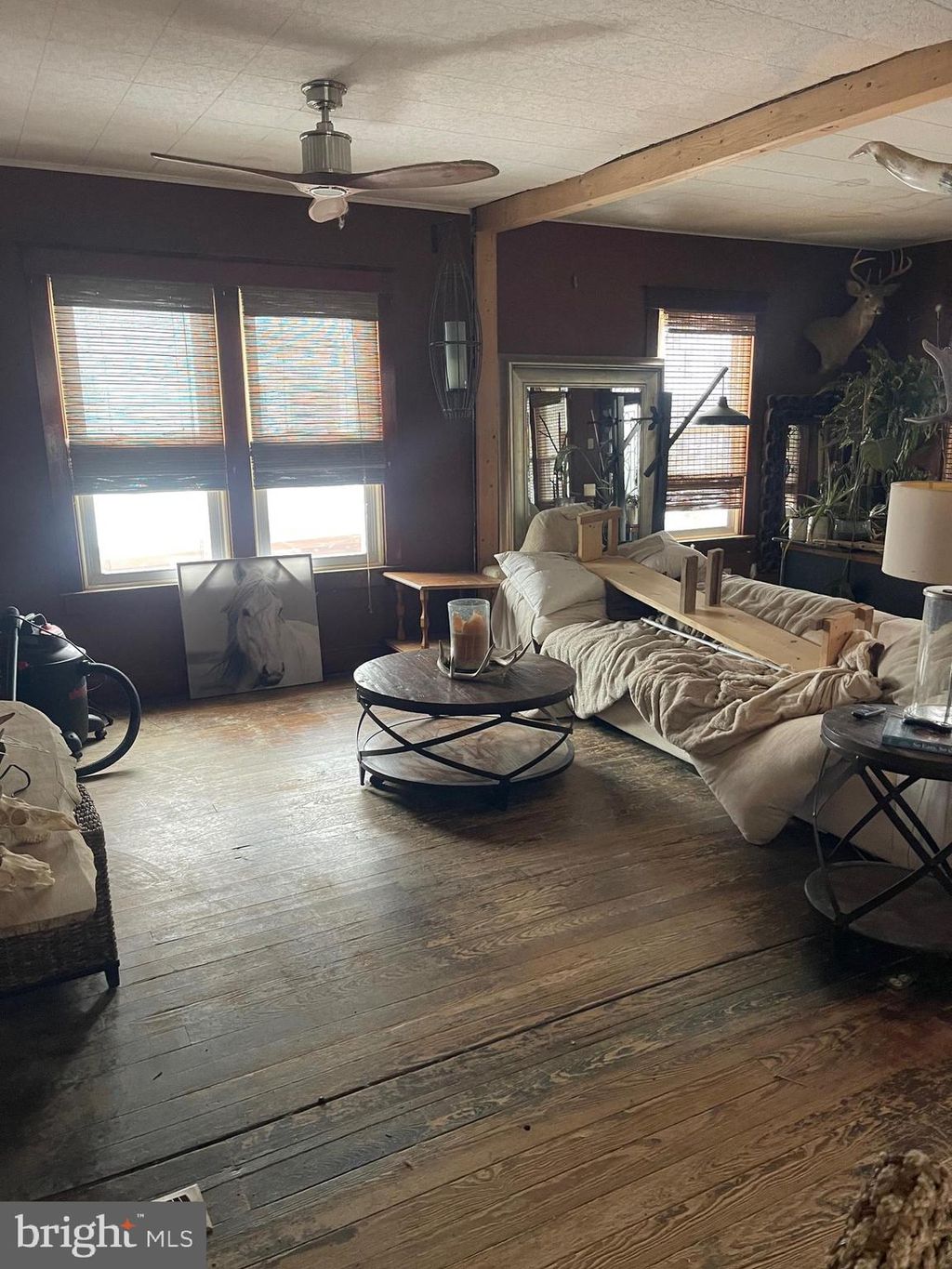 Photo of 3610 Main Street, CONESTOGA, PA 17516 (MLS # PALA2081932)