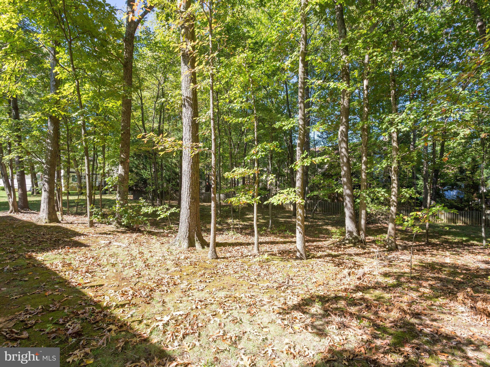 HUNTER VILLAGE - Residential