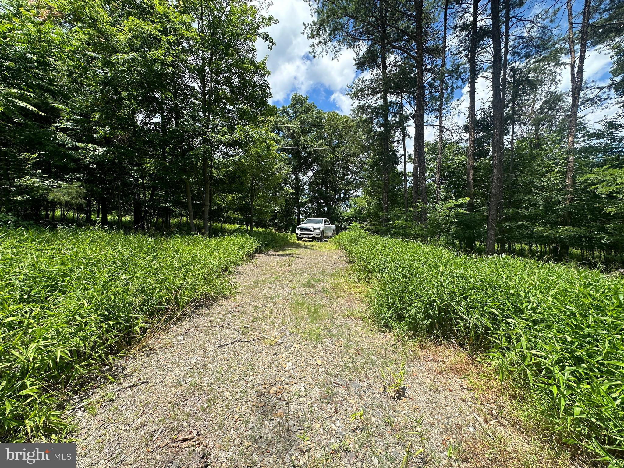 BLUFFS ON THE POTOMAC - Land