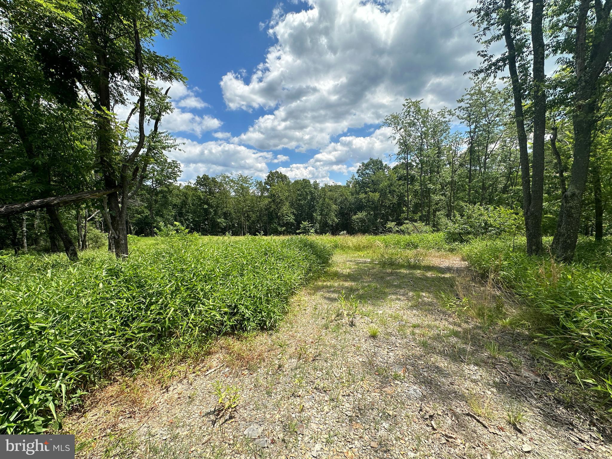 BLUFFS ON THE POTOMAC - Land