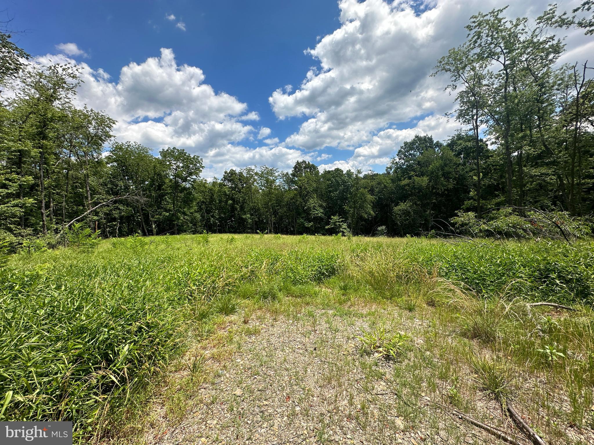 BLUFFS ON THE POTOMAC - Land