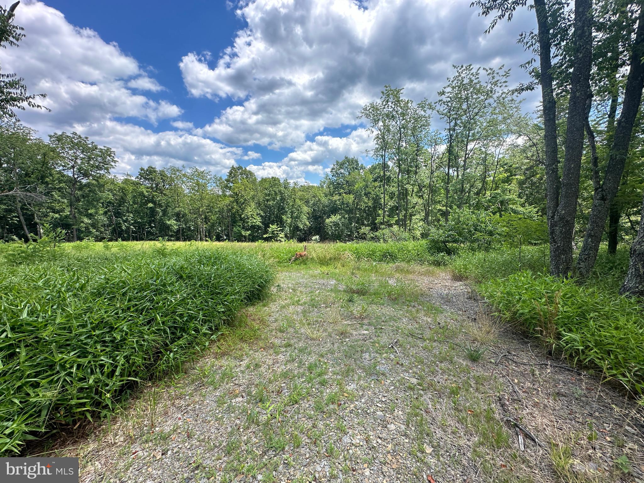 BLUFFS ON THE POTOMAC - Land