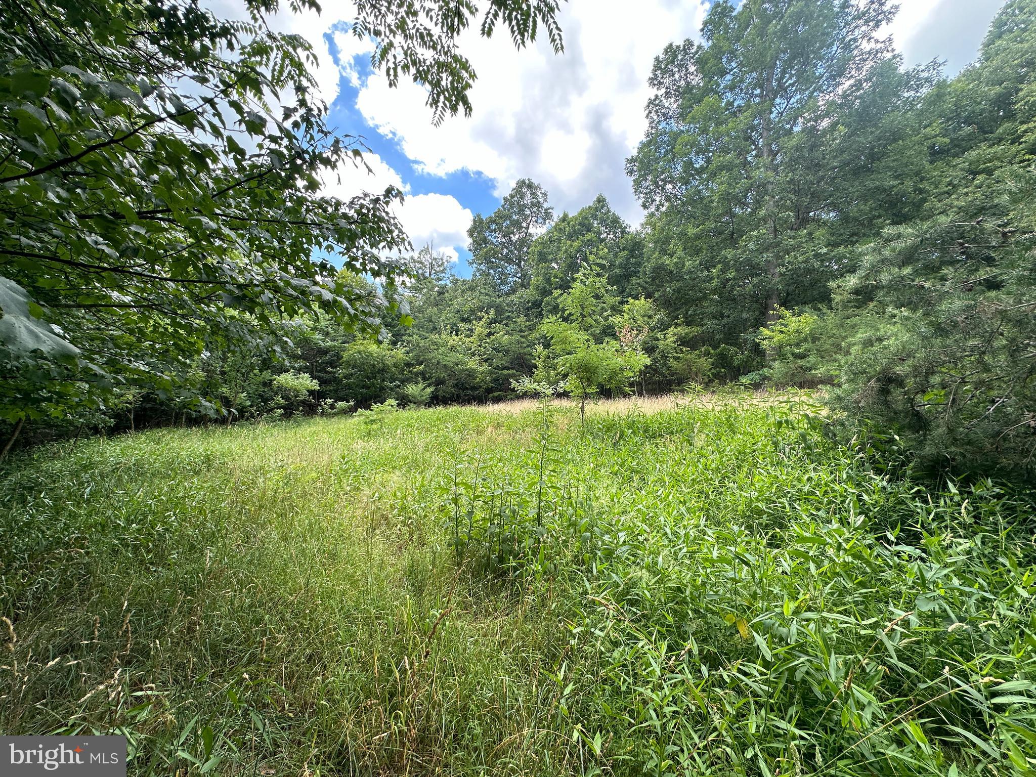 BLUFFS ON THE POTOMAC - Land