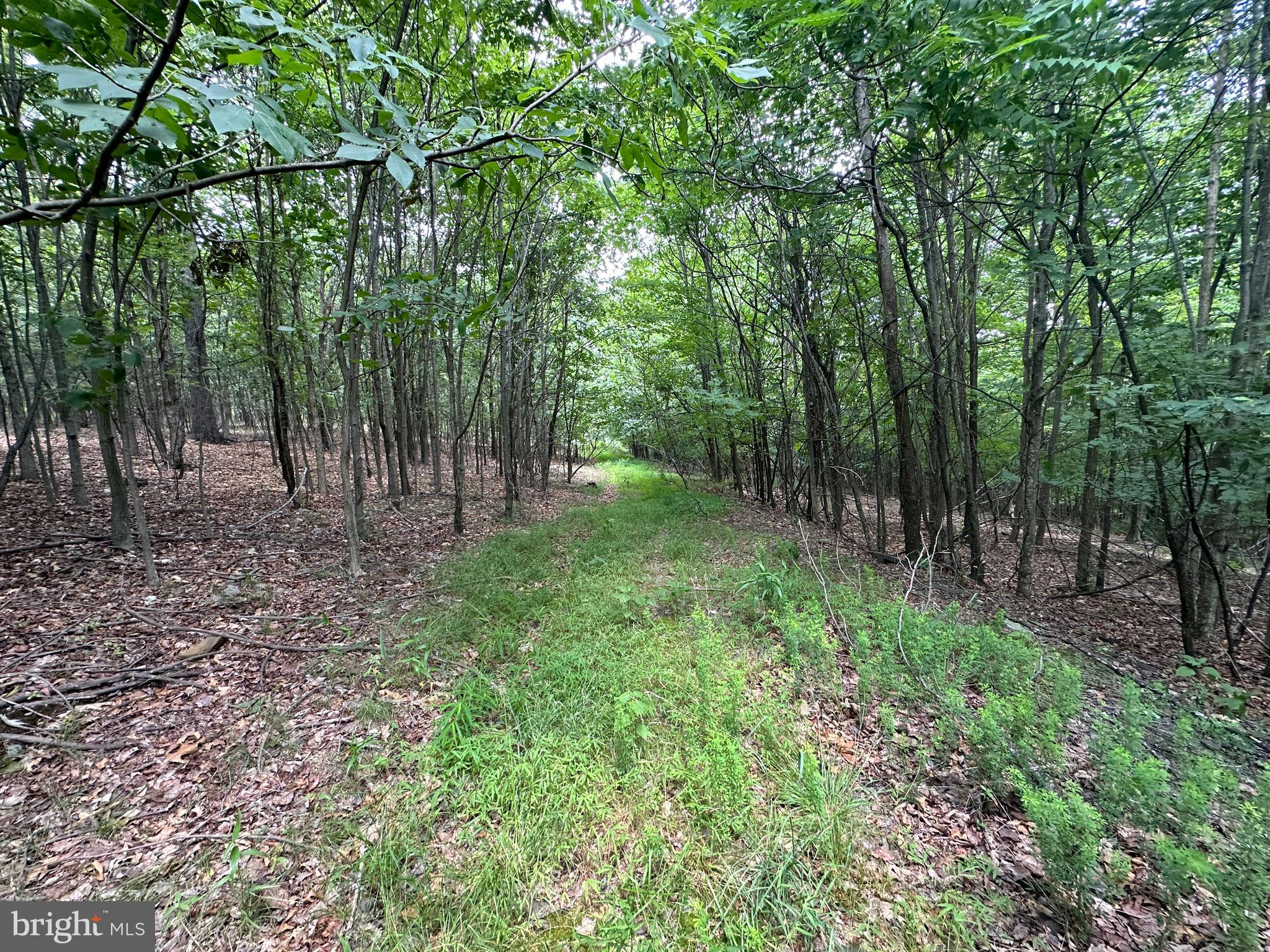 BLUFFS ON THE POTOMAC - Land