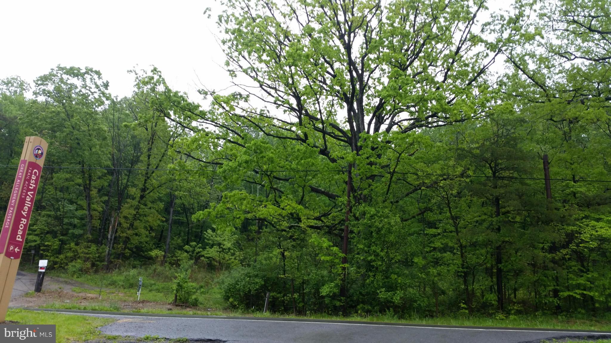 COLONY HEIGHTS - Land