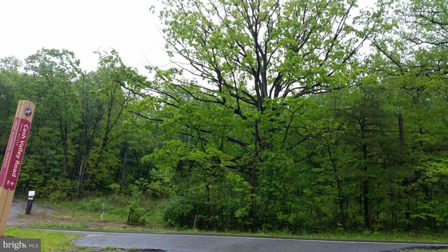 Almost 6A waiting for your imagination, build your dream home here!