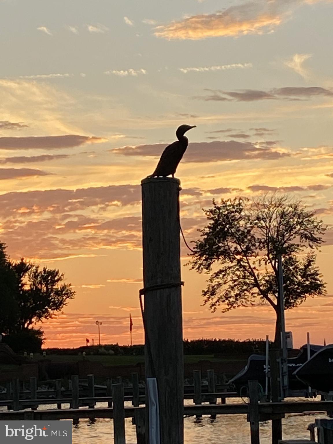 BROADWATER BEACH - Residential Lease