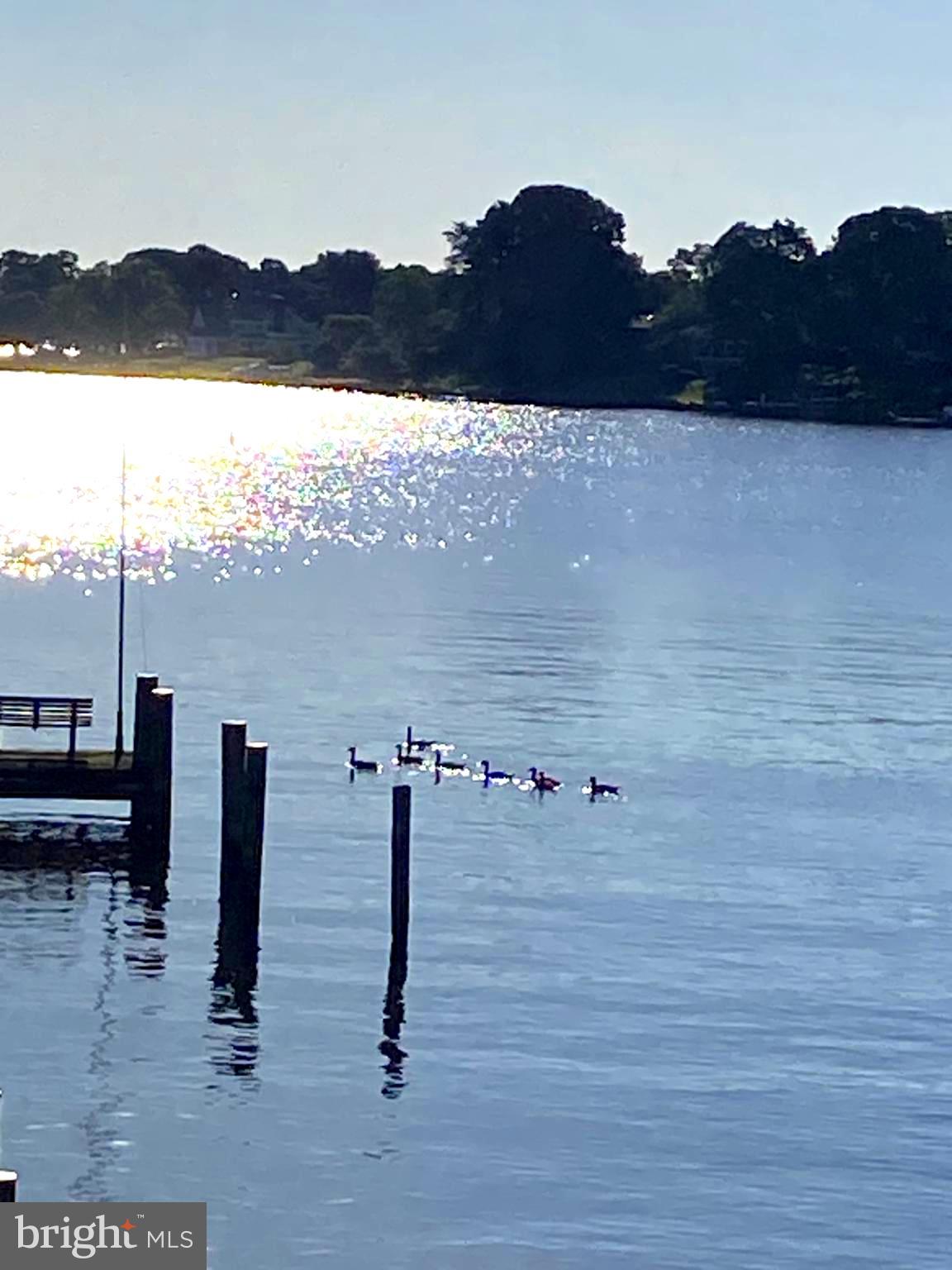 BROADWATER BEACH - Residential Lease