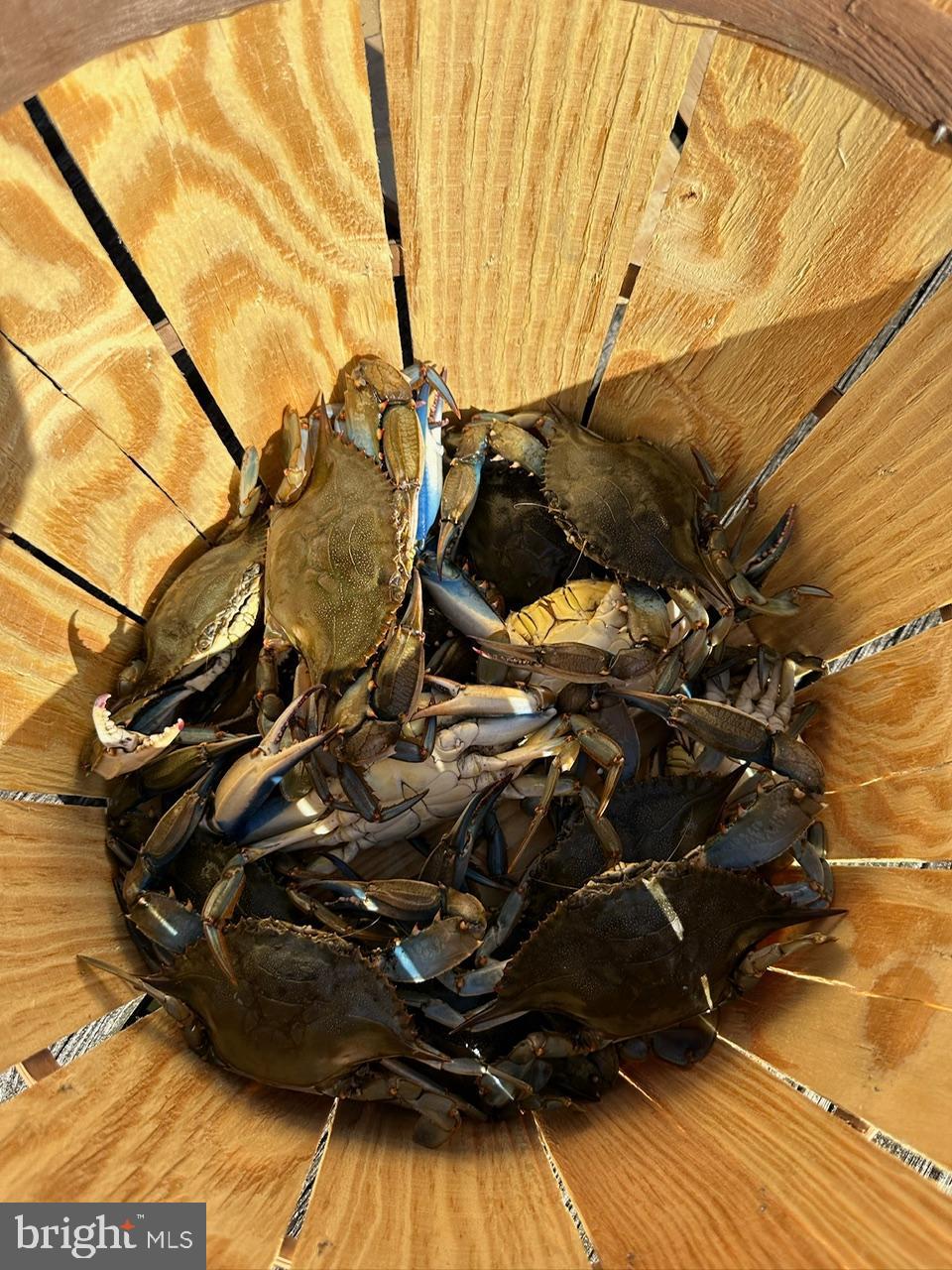 BROADWATER BEACH - Residential Lease