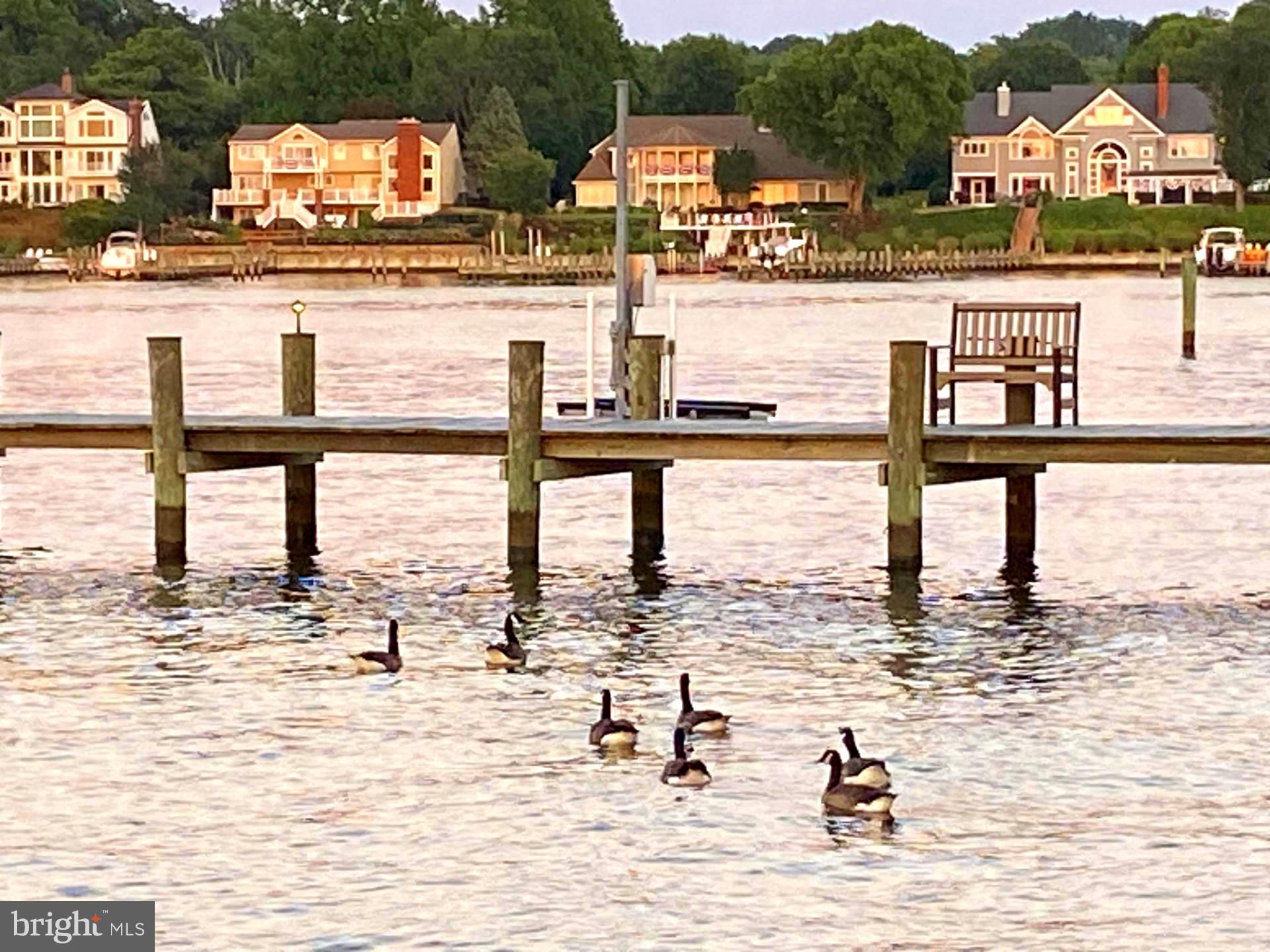 BROADWATER BEACH - Residential Lease