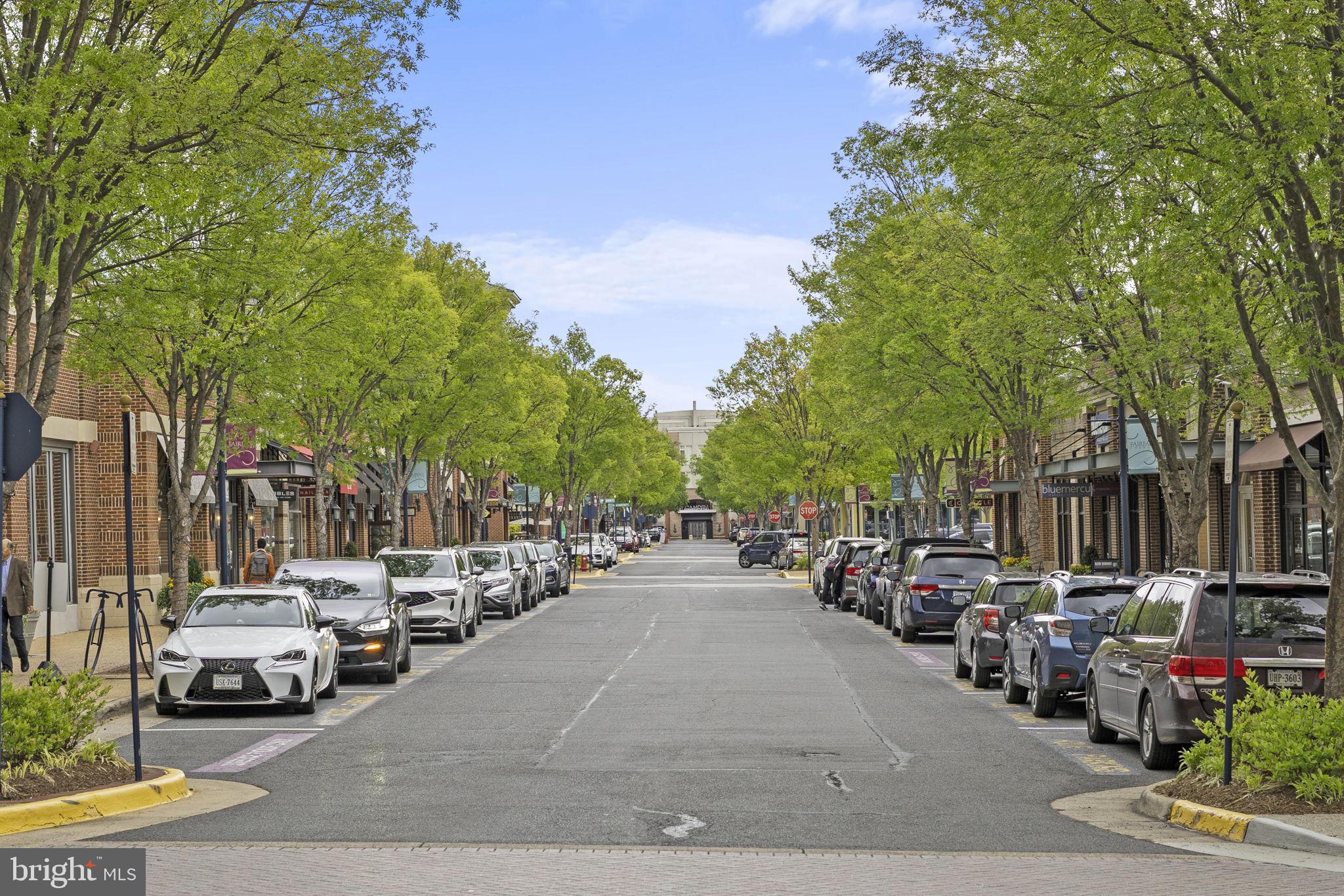 MILL BRANCH CROSSING - Residential
