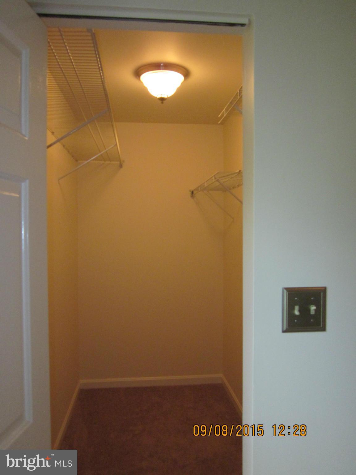 LITTLE WHIM - Residential Lease