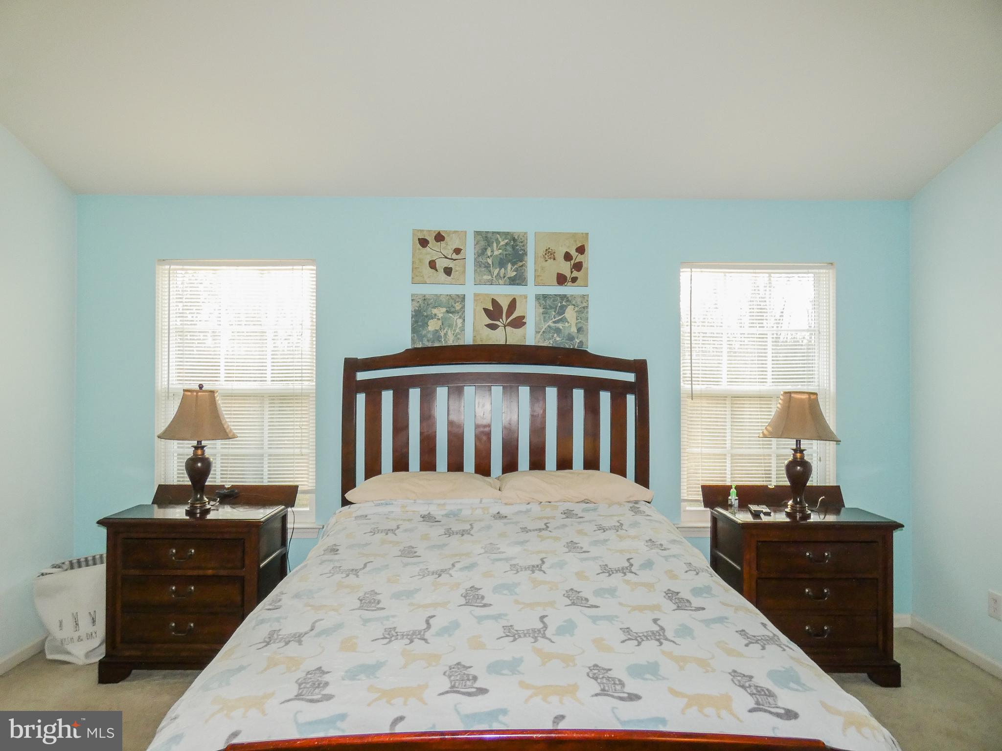 1665 CARRIAGE DRIVE