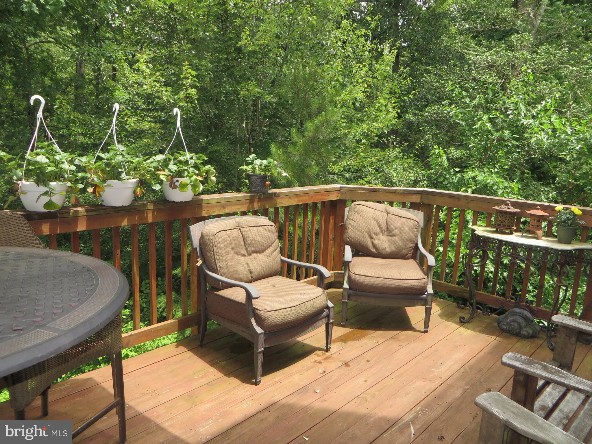 ORCHID PARK OF WILDEWOOD - Residential Lease