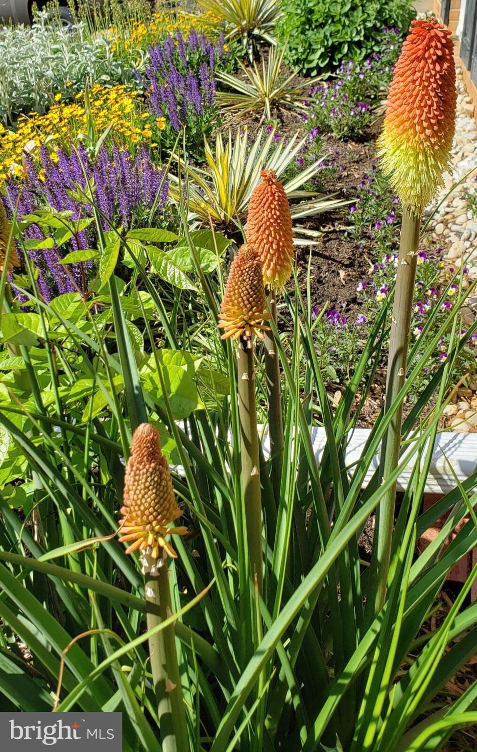 MOUNT VERNON MANOR - Residential