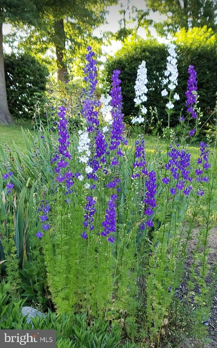 MOUNT VERNON MANOR - Residential