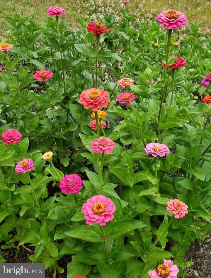 MOUNT VERNON MANOR - Residential