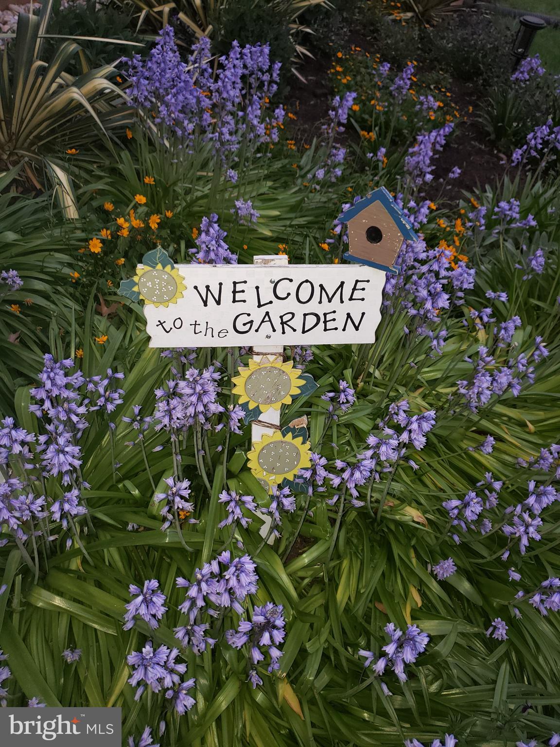 MOUNT VERNON MANOR - Residential