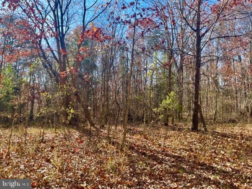 Egypt Bend Estates! Building lost with state road frontage! Level, easy to maintain lot. Subdivision enjoys private access to Shenandoah River DEEP WATER! Build your dream home here!
Owner financing available: 10 % down, 6% interest, 2-3 year term.